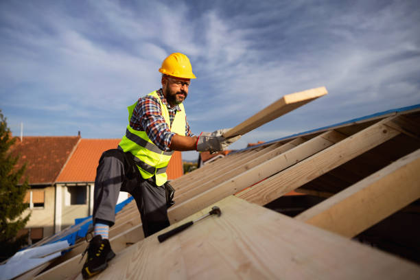 Best Skylights  in Lakemore, OH